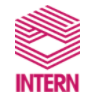 INTERN logo